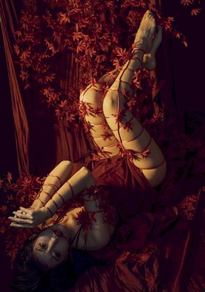 欧美保健品消费理_BD韩语免费在线观看