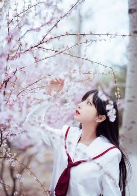 欧美绮安装图_蓝光免费播放